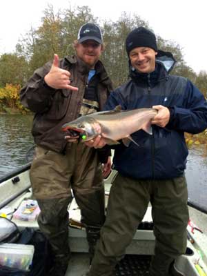 Buy steelhead jigs