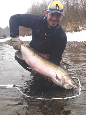 Buy steelhead jigs