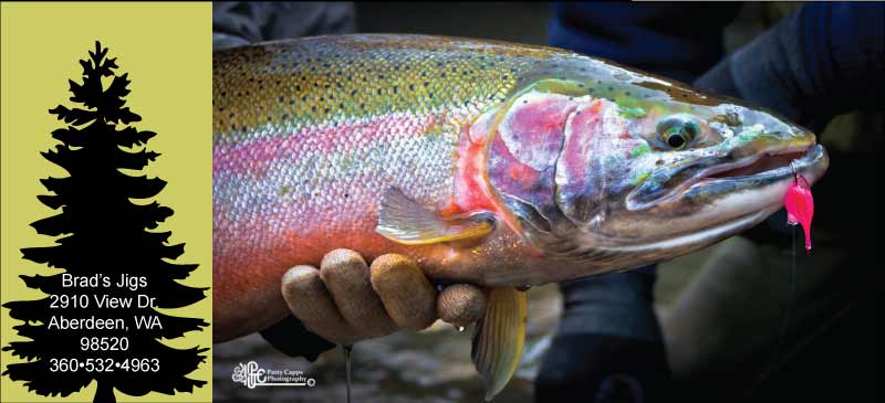 Jig Fishing for Steelhead - Paperback By Bradbury, James - GOOD